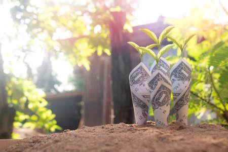 Hand and stethoscope with world on green grass.Hand holding stethoscope check on earth.Global warming, earth,Photo concept save world and good feel.の写真素材