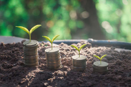 Growing plant and coin.Growing plant on coins for business investment.banknotes,exchange,...