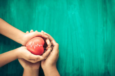 A hand holding red heart with heart wave.She is hand holding it on blue background.heart health,happy volunteer charity,The photo shows the principle of caring and good health.の写真素材