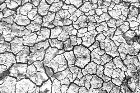 Dry cracked earth background. Global warming concept. Global warming.の写真素材