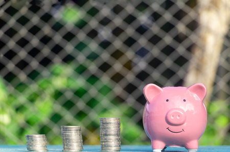 Piggy bank and coin stack on blurred green nature background.の写真素材