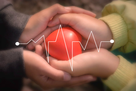A hand holding red heart.She is Left  right hand holding it.heart health, happy volunteer charity,The photo shows the principle of caring and good health.の写真素材