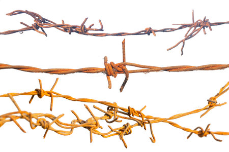 barbed wire isolated on white background. barbed wire close upの写真素材