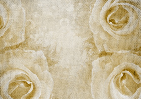 Grunge pink background with roseの写真素材