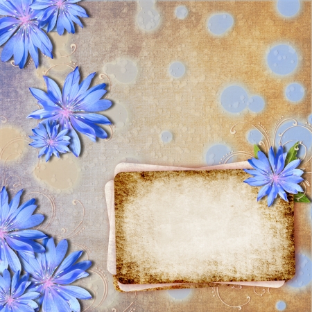 Grunge background with chicory	の写真素材