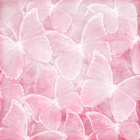 Pink Background with butterflyの写真素材