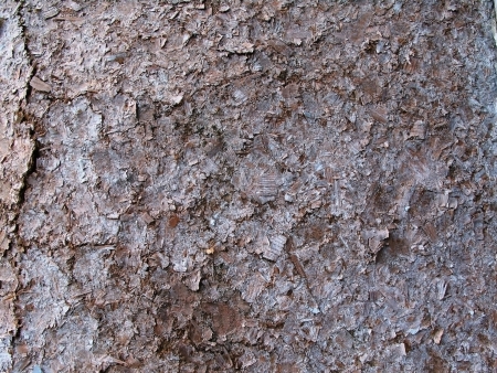 Dark wood board as background