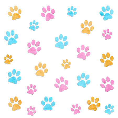 Paw printsの写真素材