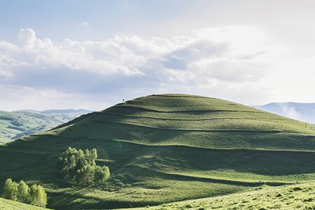 Beautiful landscape of a green forest and mountains almost at sunset in the summerの写真素材