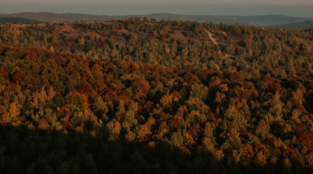 Beautiful landscape with colourful trees in autumnの写真素材