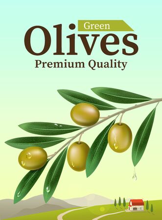 Label of green olives. Realistic Olive branch. Design elements for packaging.のイラスト素材