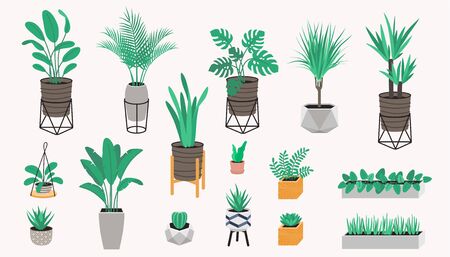 Potted plants collection in a loft style. Succulents, cactus and house plants. Set of house indoor plant vectorのイラスト素材