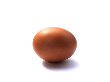Single chicken egg isolated.の写真素材