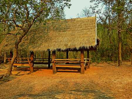 Hut in forest.の写真素材