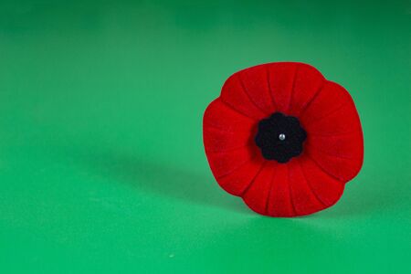 Remembrance Day Poppy Flower with a green Backgroundの写真素材