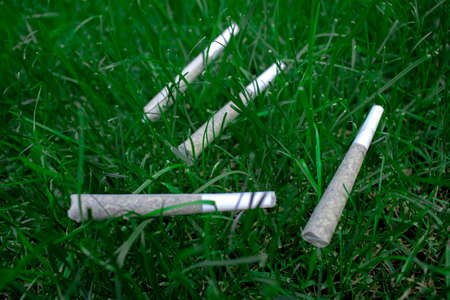 Pre-Rolls Cannabis Joints marijuana weed on a fresh lawn grass surface.の写真素材