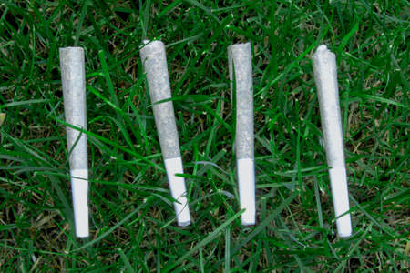 Top view Flat lay four Pre-Rolls Cannabis Joints marijuana weed on a fresh lawn grass surfaceの写真素材