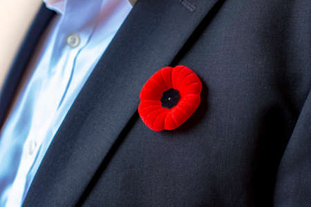 A Person with a remembrance day poppy flower on a black suit.の写真素材