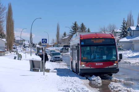 Calgary, Alberta, Canada. Apr 20, 2022. A Calgary Transit Nova Bus LFS 40102 model on a bus stop during a snowing winter day.のeditorial素材