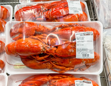 Calgary, Alberta, Canada. Feb 8, 2024. A close up to a kirkland package of Whole Cooked Cold Water Lobstersのeditorial素材