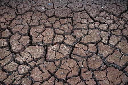 Dry land, World Disaster, Cracked ground backgroundの写真素材