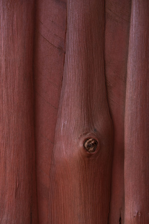 Wood surface, wooden background, wood floor, treeの写真素材