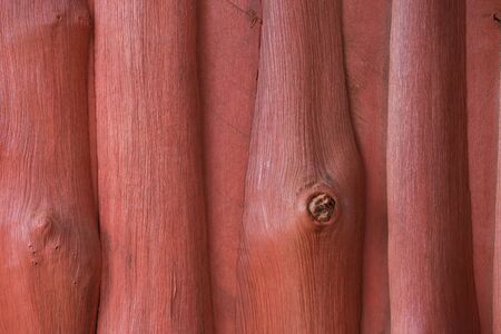 Wood surface, wooden background, wood floor, treeの写真素材