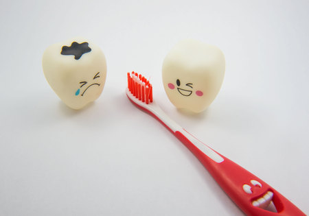 model Tooth emotion on white background.の写真素材