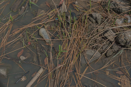 Garbage floating in river, Water pollution. Ecological problemの写真素材