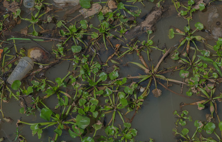 Garbage floating in river, Water pollution. Ecological problemの写真素材