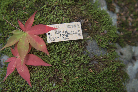 train ticket tobu-nikko ,go to nikko by train. City of UNESCO.