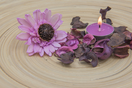 Purple aromatic dried herbs aromatic flowers and candle on wooden background.の写真素材