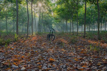 Bike  in the countryside. Light from the sun in the morning .の写真素材