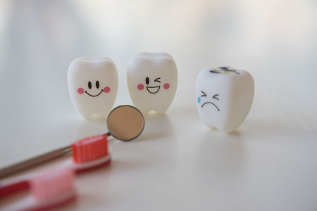 Model toys teeth in dentistry on a white background.