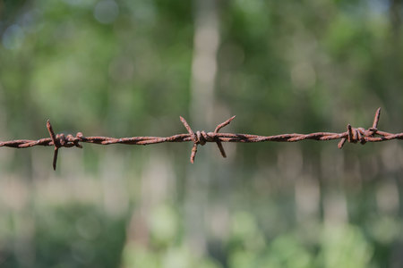 Old barbed wire and rust  and  green background.の写真素材