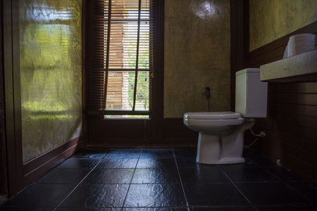 Interior Of Modern Toilet bowl in Vintage bathroom .の写真素材