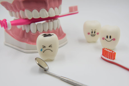 Model Cute toys teeth in dentistry on a white background.