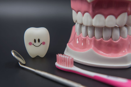 Model Cute toys teeth in dentistry on a black background.