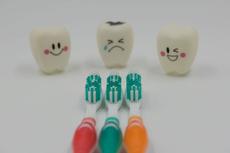 New toothbrush and Model Cute toys teeth in dentistry on a white background.の写真素材