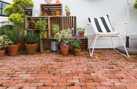 White chair in the garden and tree  .の写真素材