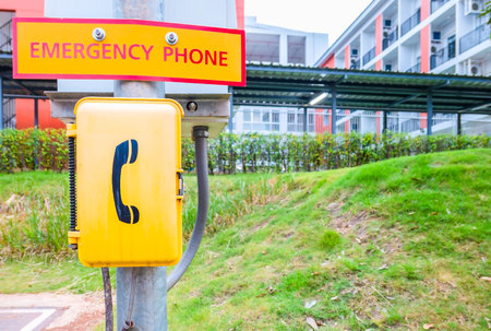 A yellow emergency phone box outdoor in the park.の写真素材