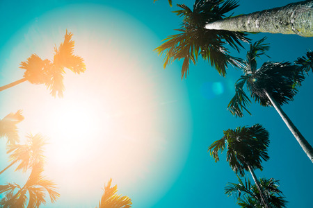 Palm trees vintage toned , Fashion, travel, summer, vacation and tropical beach . Creative made of...