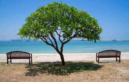 At seaside in summer ,chairs on the beach with blue sea ,blue sky backgroundÂ .Summer, Travel, Vacation and Holiday concept .の写真素材