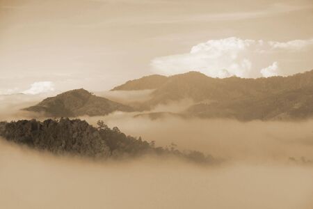 Sepia forest and mountains, landscape,Â fog and cloud mountain valley , Morning fog .の写真素材