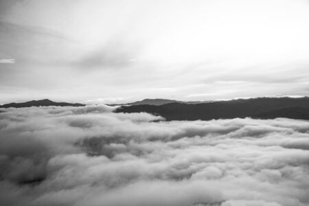 dark forest and mountains, landscape,Â fog and cloud mountain valley , Morning fog .