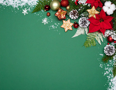 Christmas background with fir branches, poinsettia and snow on greenの素材