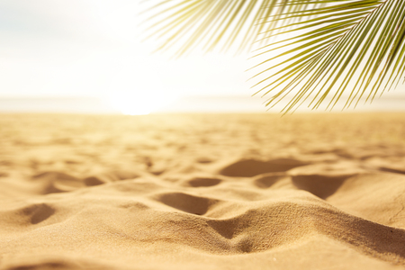 Sand with blurred Palm and tropical beach bokeh background, Summer vacation and travel concept. Copy spaceの写真素材