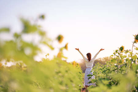 Happy woman standing and open her arms in a sunflower field at sunset. concept of freedom.の写真素材