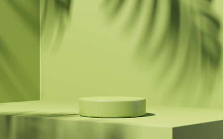 Minimal abstract podium green background for product presentation. Tropical leaf shadow on plaster wall. 3d render. Spring and summer.の写真素材