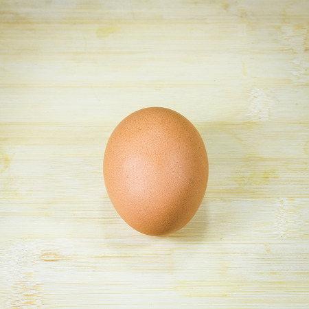 Single brown chicken egg on wood